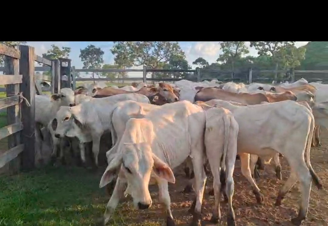 Ganado mas informacion en la dee